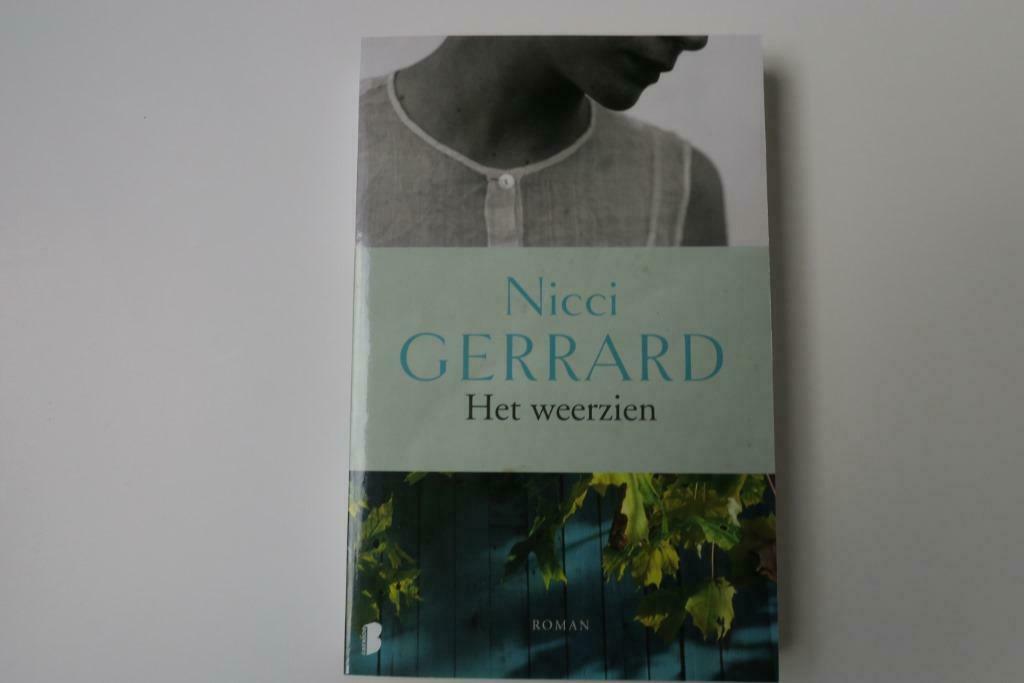Het weerzien (Nicci Gerrard), Boeken, Ophalen of Verzenden, Zo goed als nieuw