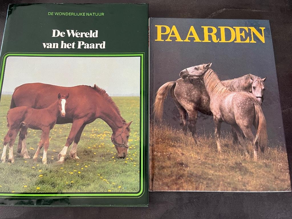 Boek, Boeken, Dieren en Huisdieren, Ophalen, Zo goed als nieuw, Paarden of Pony's, Lekturama Rotterda