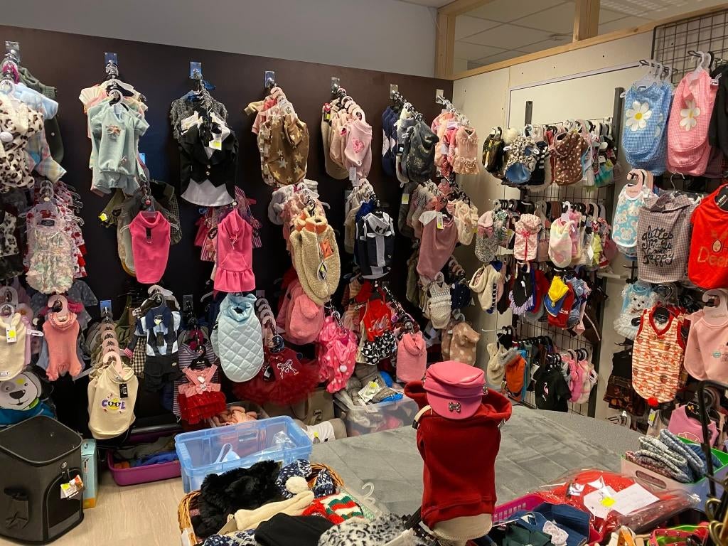 Voor hondjes met stijl :  gans gamma leuke kleding, Enlèvement, Neuf, Manteau pour chien