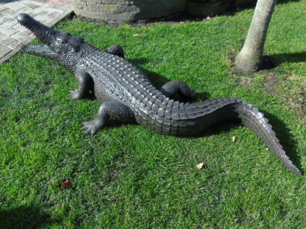 crocodile en bronze , jet d eau , long 2 M !!!, Enlèvement, Neuf, Autres matériaux, Fontaine