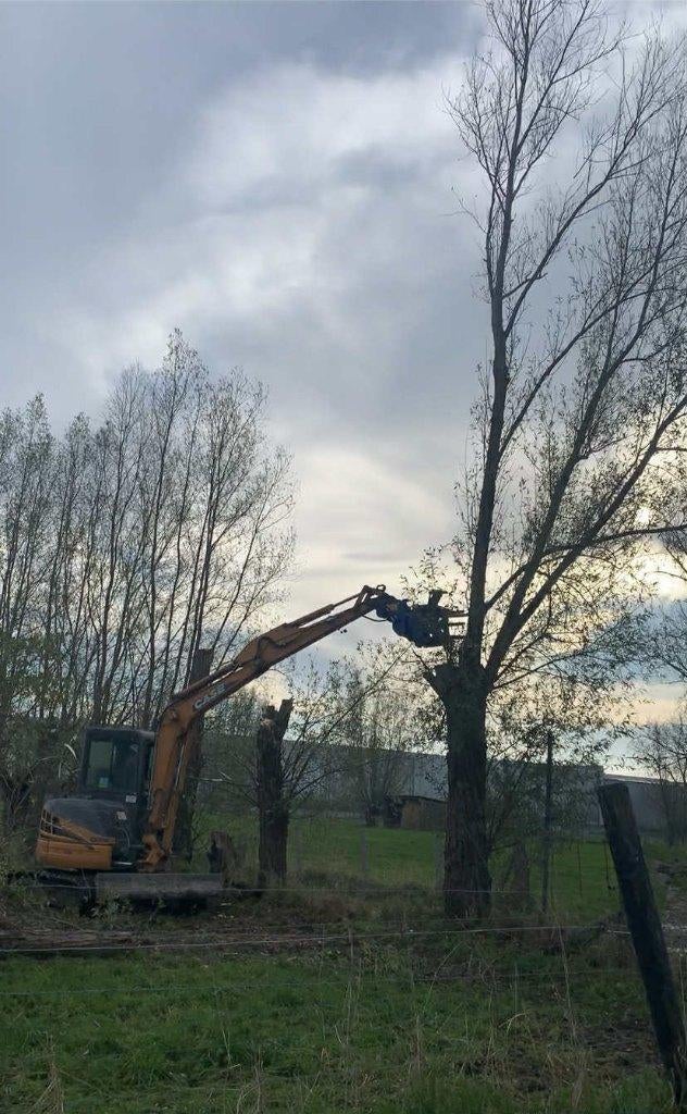 Knippen/knotten, vellen van bomen, Ophalen of Verzenden, Overige soorten, 400 cm of meer