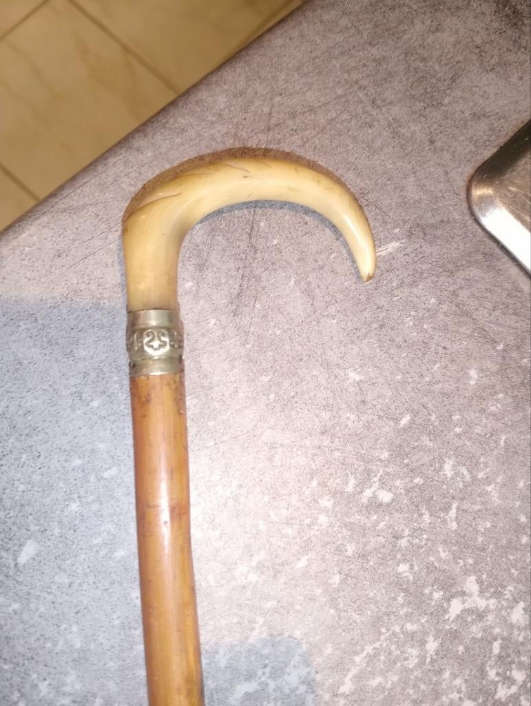 Canne corne 88.5 cm, Enlèvement ou Envoi