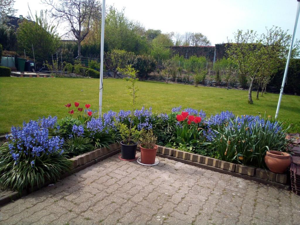 Af te werken alleenstaand huis met grote tuin, Immo, Provincie Oost-Vlaanderen, 500 tot 1000 m², Vrijstaande woning, Aalst 9300