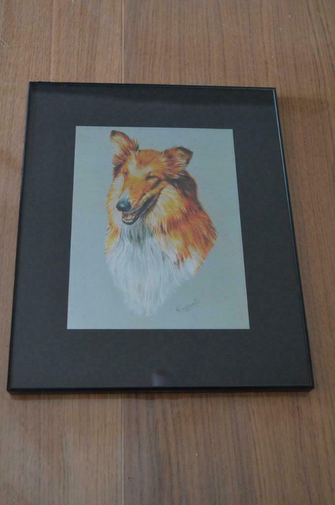 Kader met collie 24 x 30 cm, Minder dan 50 cm, Gebruikt, Tekening, Ophalen of Verzenden