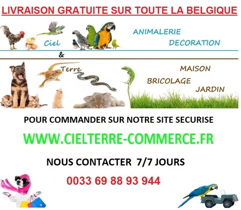 Cage perroquet XXL ara amazone cacatoes cage gris gabon NEUF, Animaux & Accessoires, Envoi, Neuf, Métal, Autres types