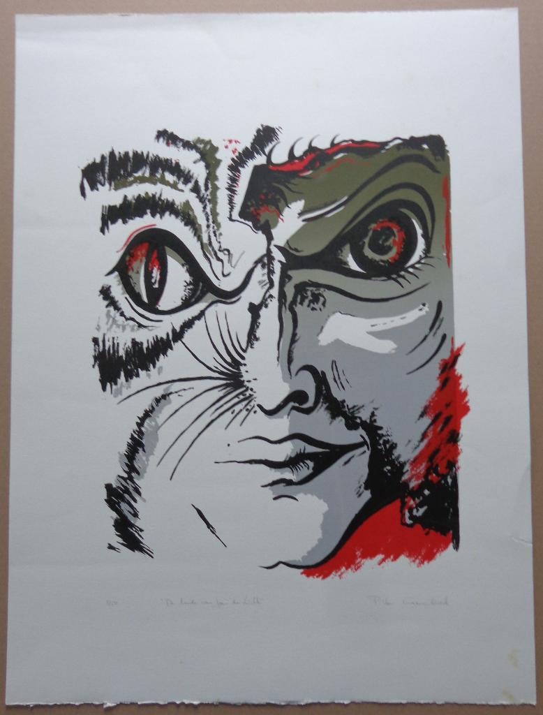 PATRICK VAN CRAENENBROECK / JAN DE LICHTE KLEURLITHO 65x49cm, Ophalen of Verzenden