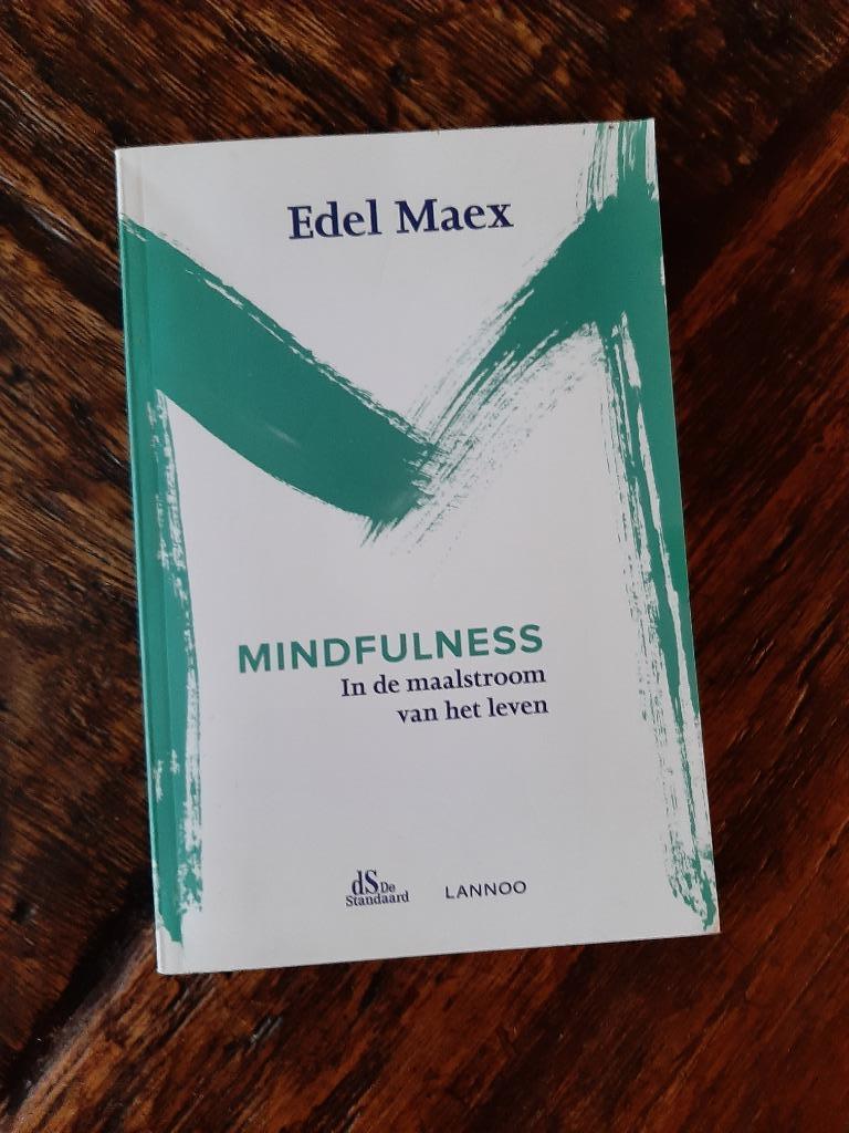 Mindfulness - In de maalstroom van het leven, Boeken, Ophalen of Verzenden, Gelezen