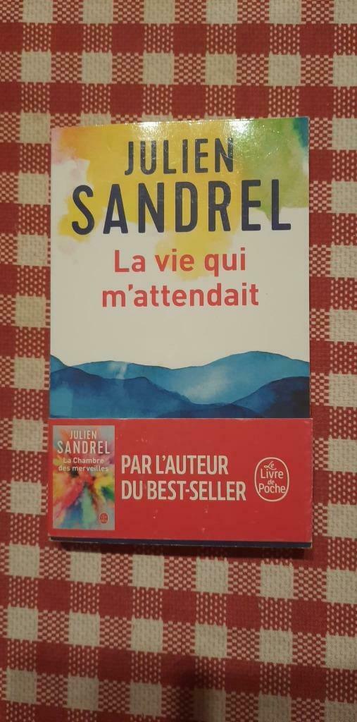 Julien Sandrel - La vie qui m'attendait, Ophalen, Gelezen