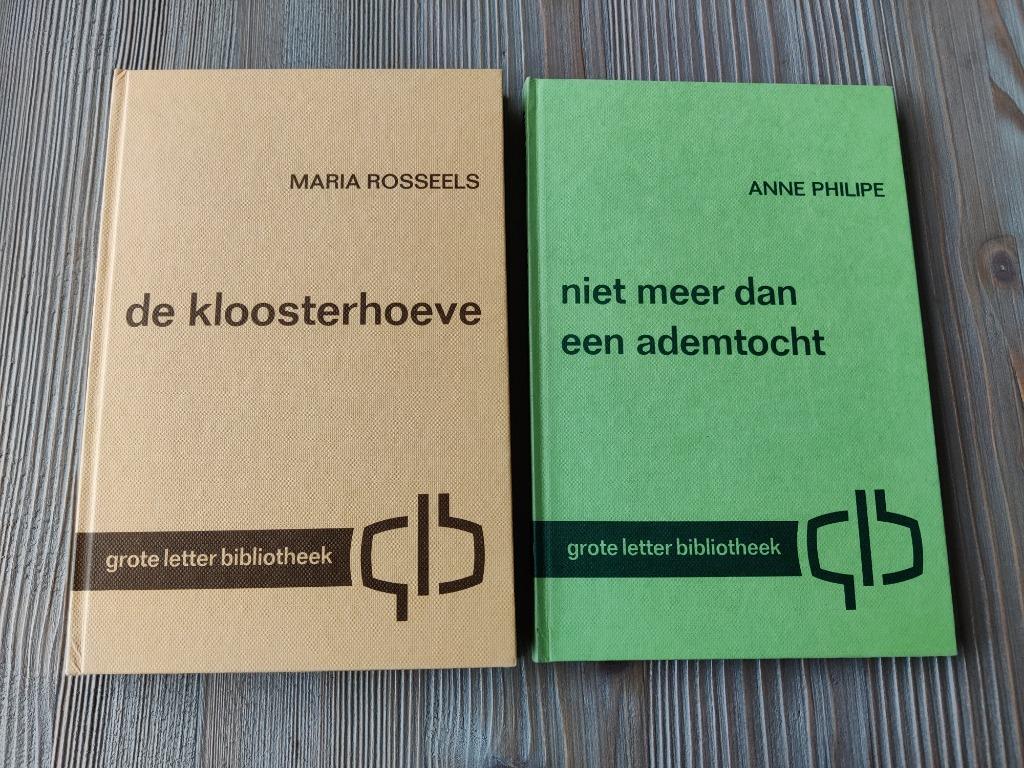 Twee boeken de grote letterbibliotheek, Boeken, Ophalen of Verzenden, Zo goed als nieuw