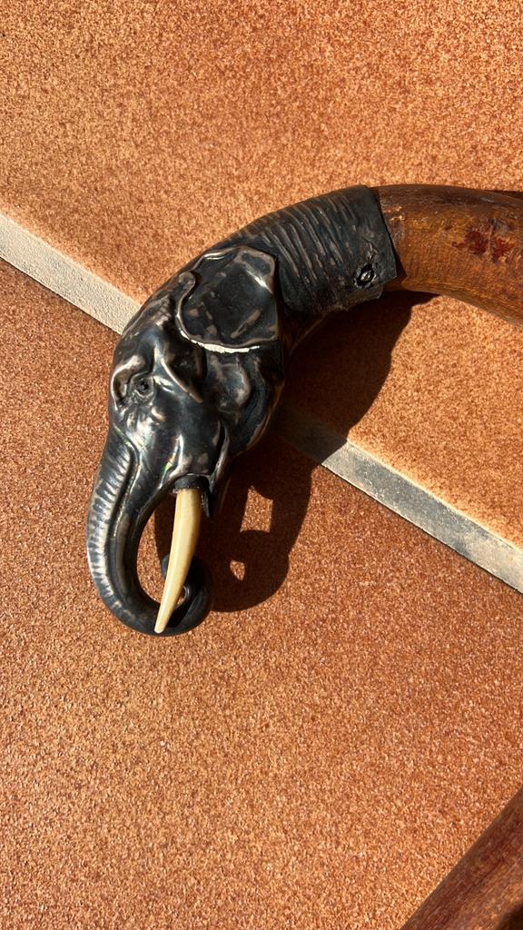 Mooie zeer oude wandelstok met zilveren olifantenhoofd, Enlèvement