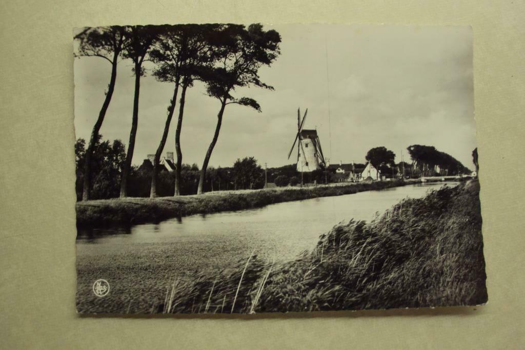 45784 - DAMME - DE MOLEN EN KANAAL NAAR SLUIS, Verzamelen, Verzenden