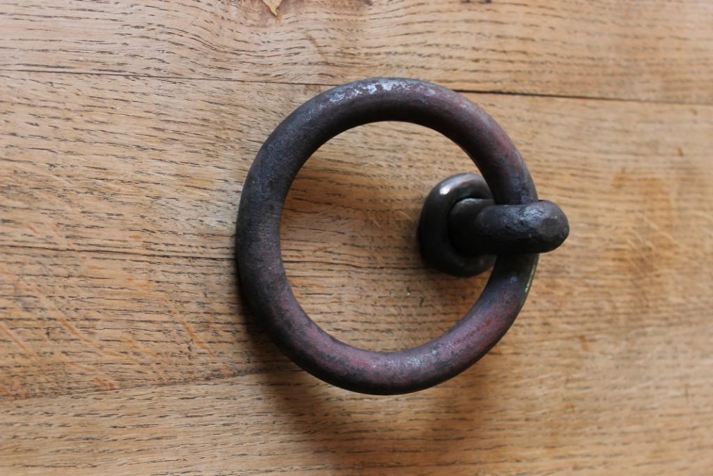 aanbindring paard, Dieren en Toebehoren, Ophalen of Verzenden, Nieuw