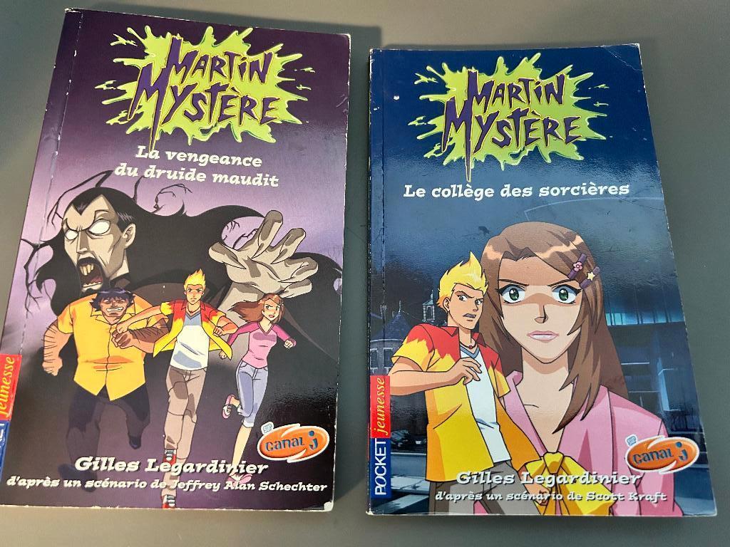 Romans pour enfant de 8 ans - Martin Mystère, Livres, Enlèvement, Utilisé, Gilles Legardinier, Fiction général