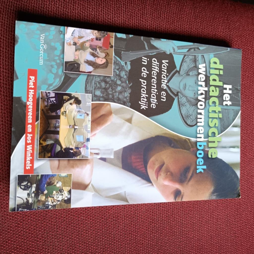 P. Hoogeveen - Het didactische werkvormenboek, Boeken, Ophalen of Verzenden, Zo goed als nieuw, P. Hoogeveen; J. Winkels