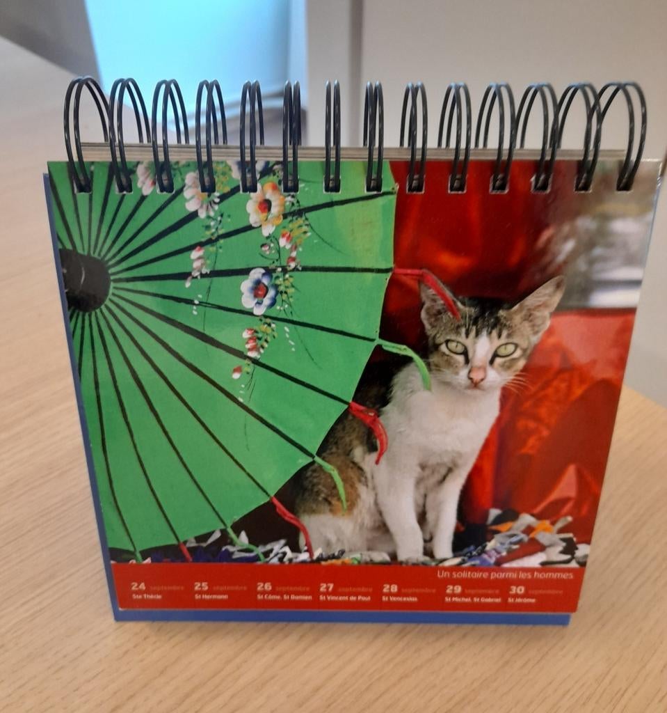 Calendrier chat Geo, Divers, Calendriers, Enlèvement ou Envoi, Utilisé