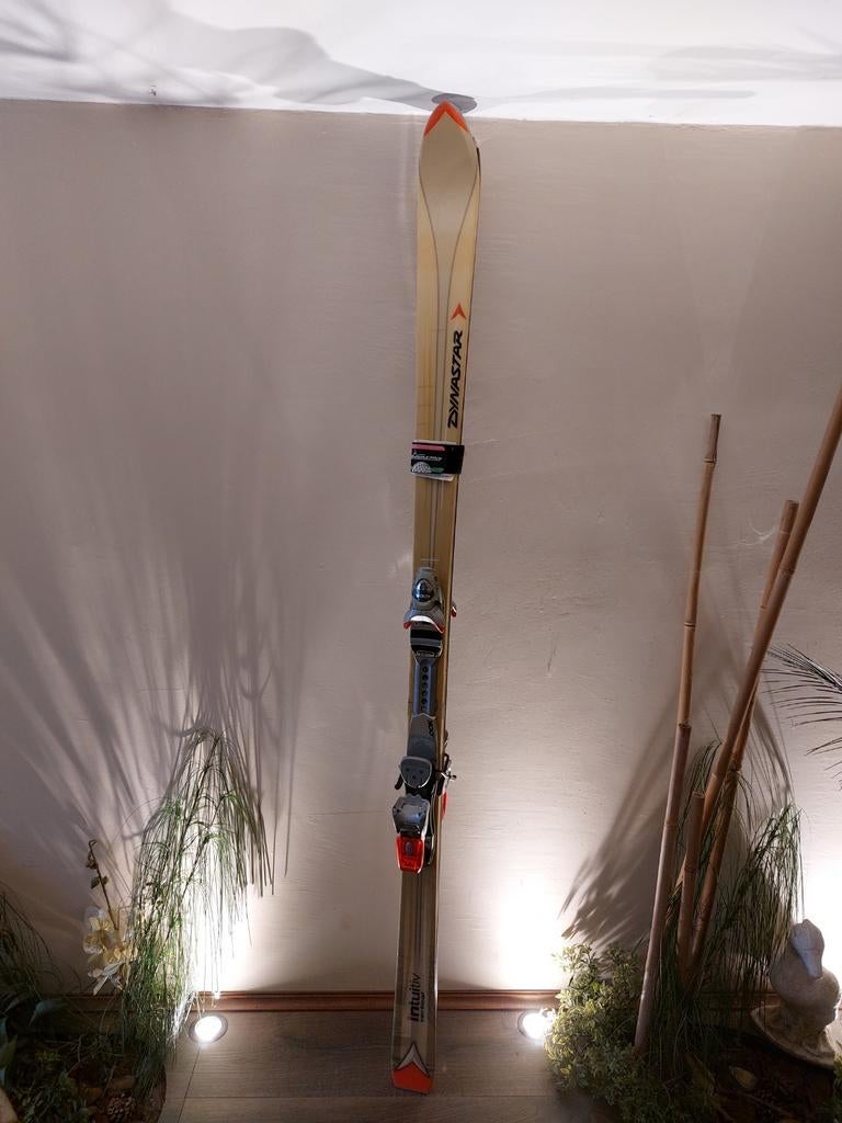 Ski, Ophalen of Verzenden, Gebruikt, Ski