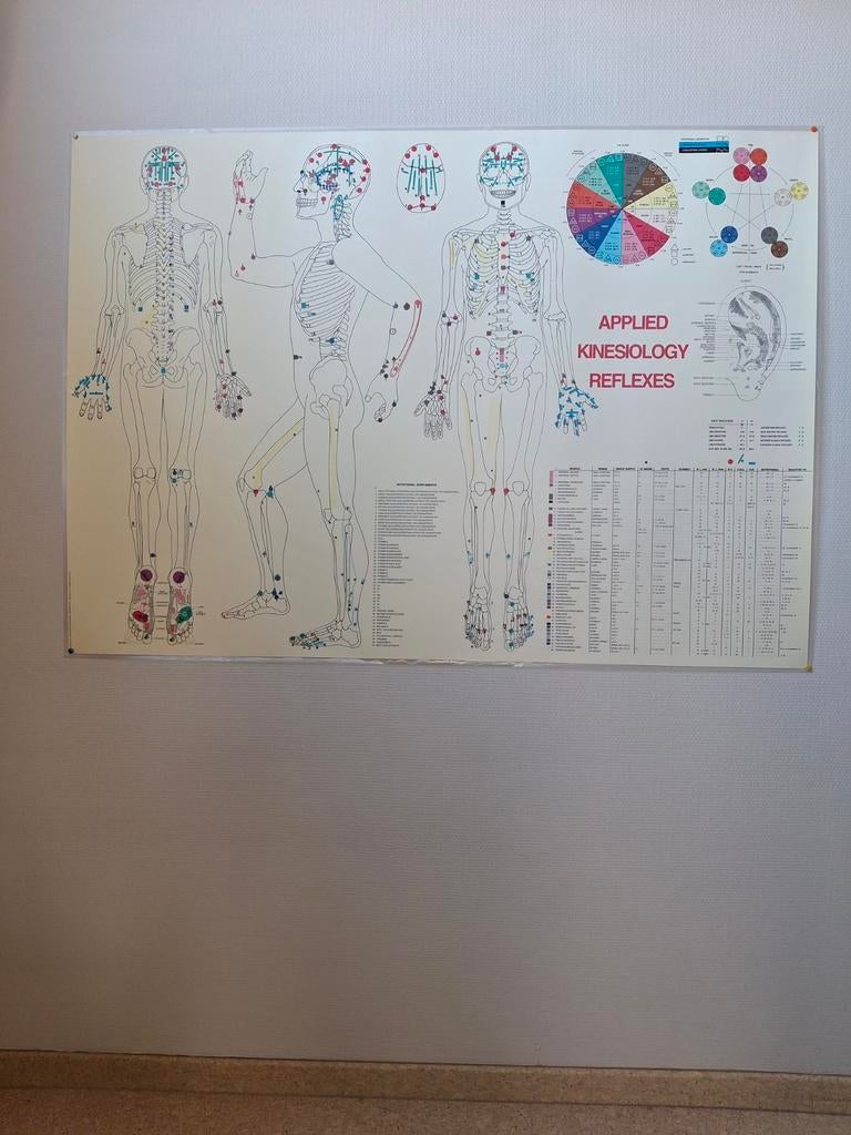 Poster kinesiologie, Enlèvement ou Envoi, Comme neuf