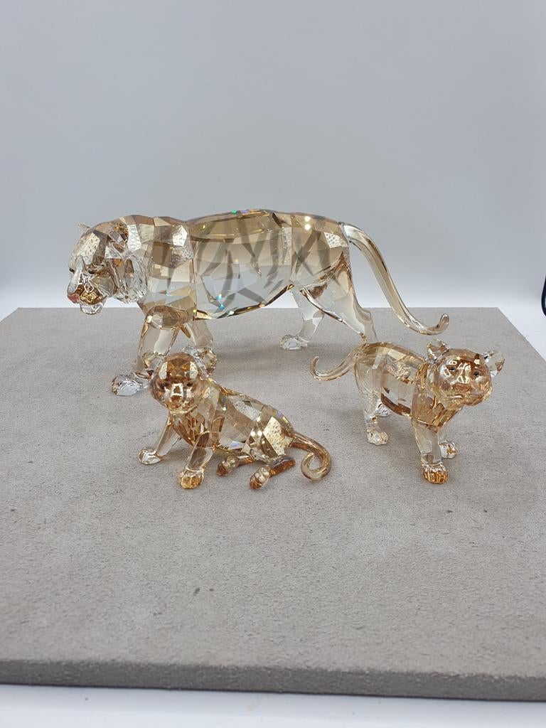 Swarovski SCS 2010 Tijger met 2 jongen., Ophalen of Verzenden