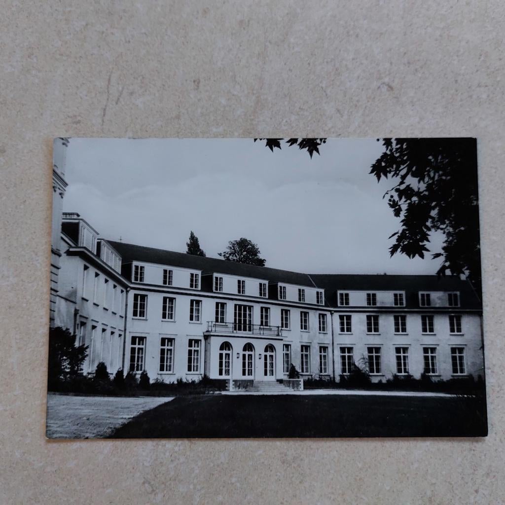 Oude postkaart Sint-Michiels Brugge : Vogelzang, Ophalen of Verzenden