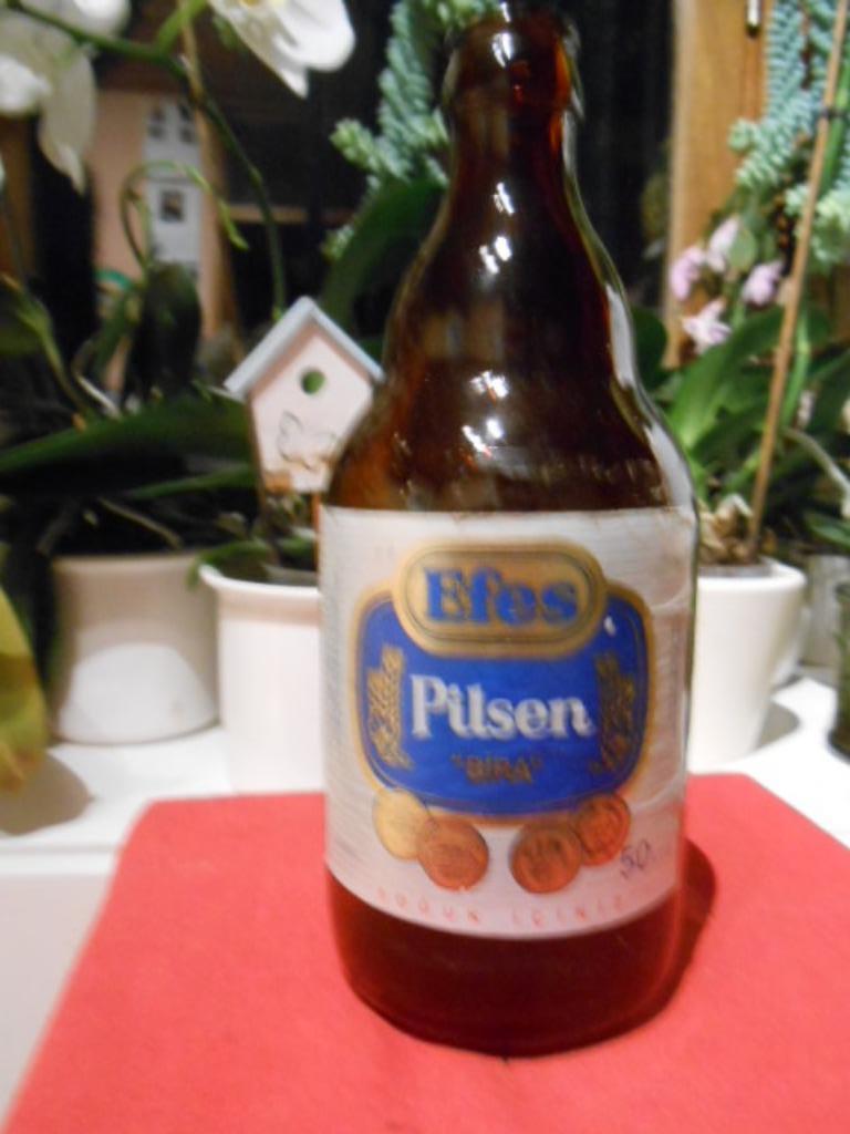 collection de bouteille de bière Efes Turquie, Enlèvement ou Envoi, Utilisé, Bouteille(s)