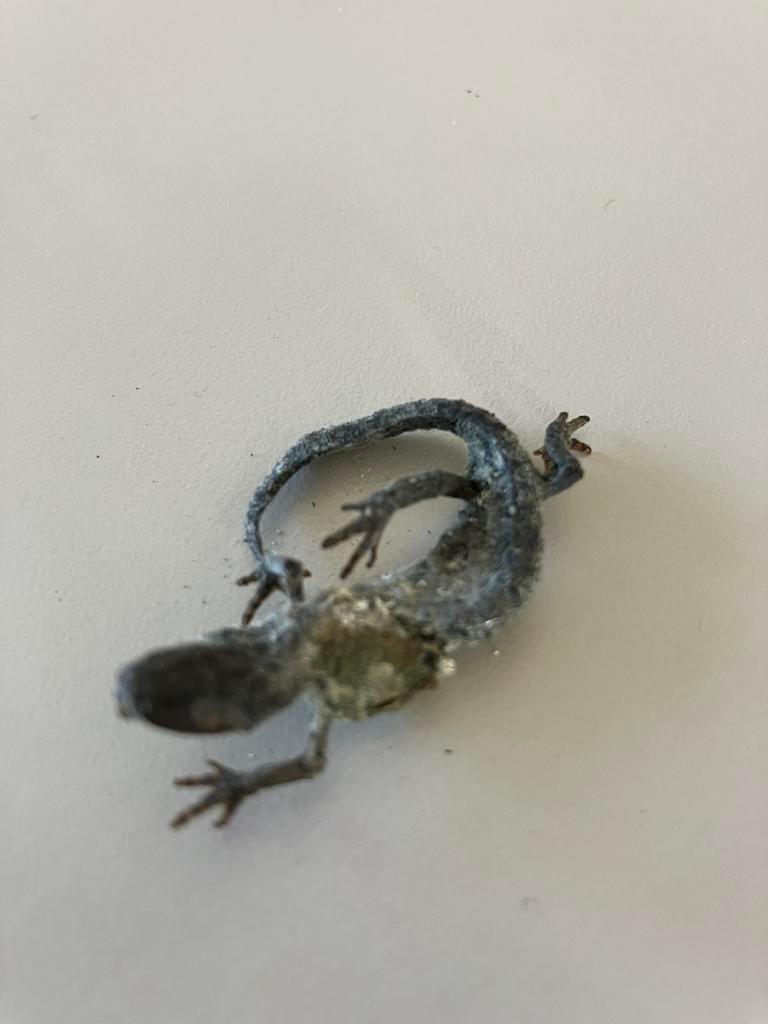 Salamander (gevonden)., Verzamelen, Ophalen of Verzenden