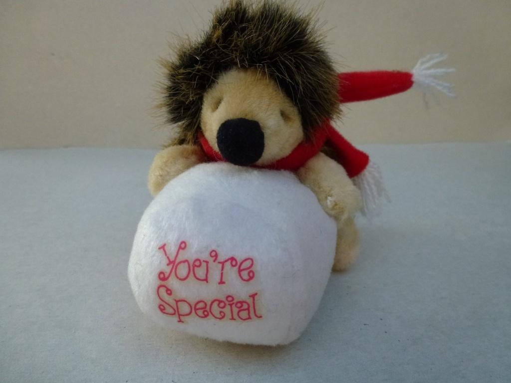 knuffel egeltje "You're special " Leafy Lane Russ, Kinderen en Baby's, Speelgoed | Knuffels en Pluche, Ophalen of Verzenden, Nieuw