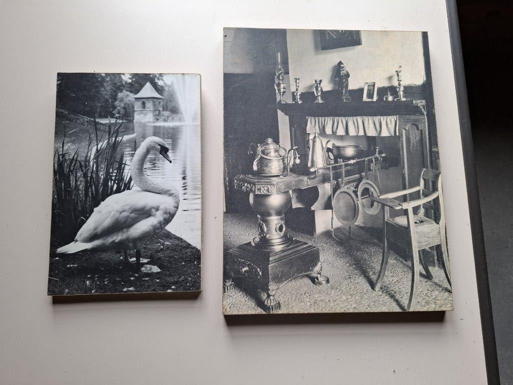 Twee oude foto's op hout, Ophalen, Gebruikt, Minder dan 50 cm, 5 – 50