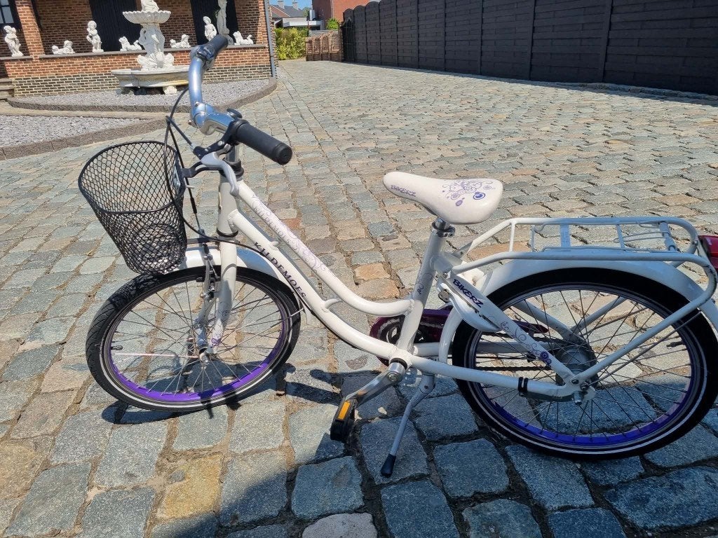 fiets 20 inch, Ophalen, 20 inch of meer, Zo goed als nieuw, Schijfrem
