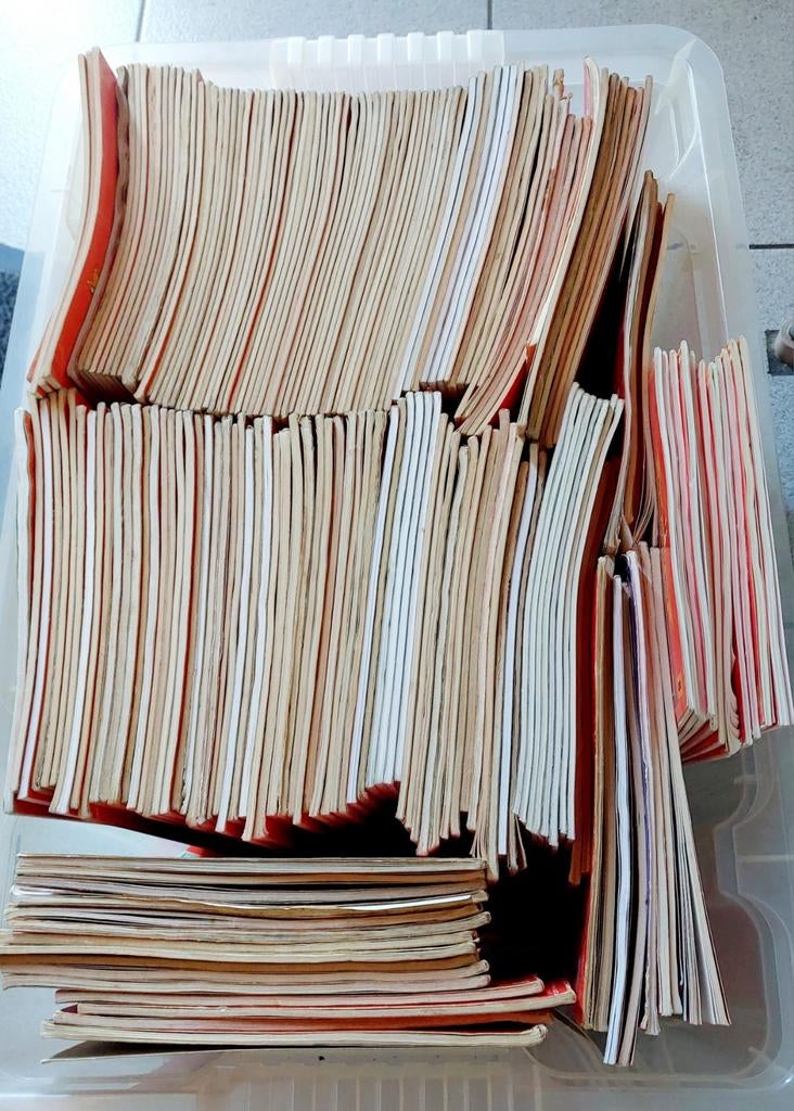 Suske en Wiske, Kleding | Dames, Ophalen