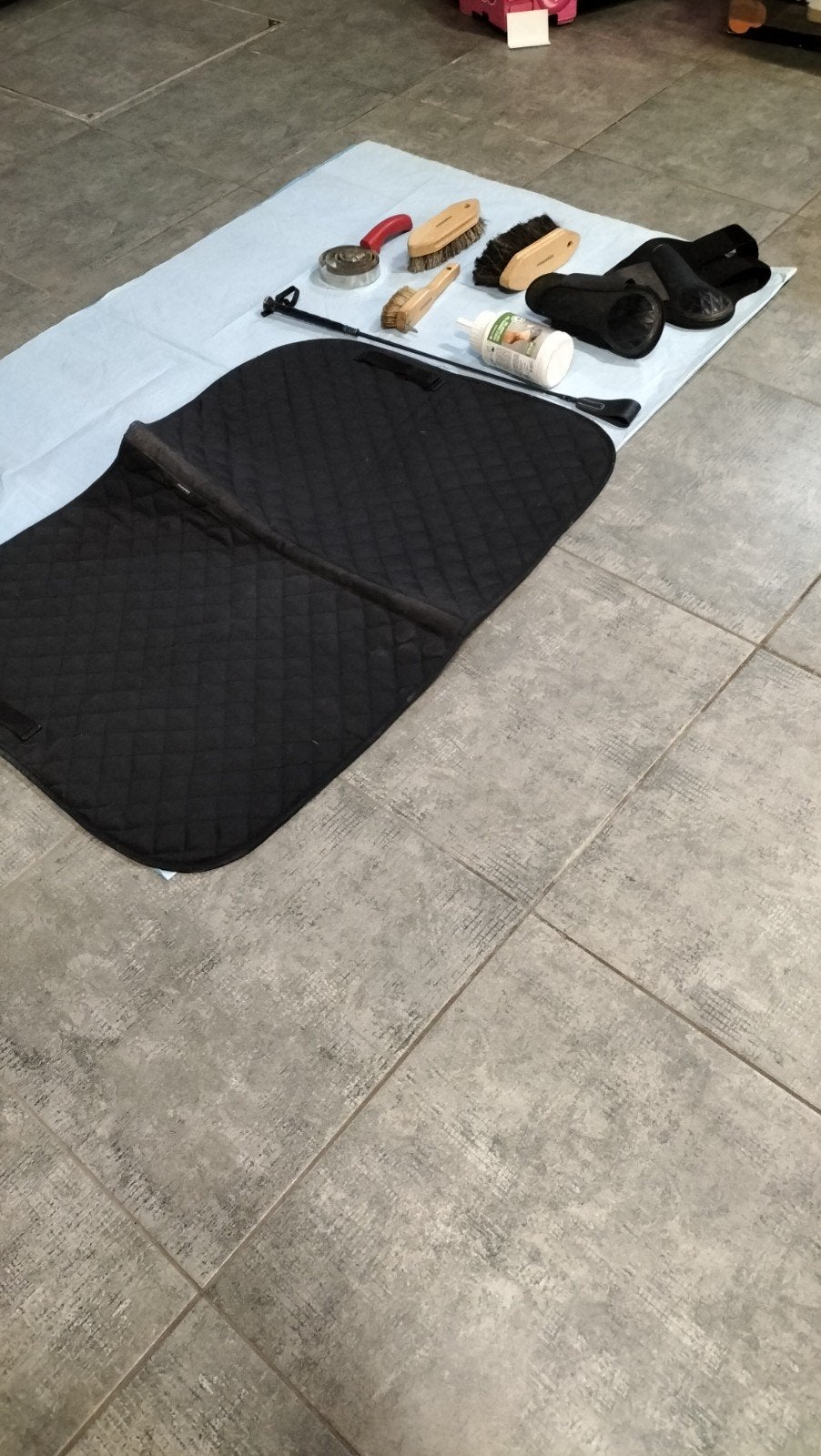 Accessoires pour chevaux., Enlèvement, Tapis de selle