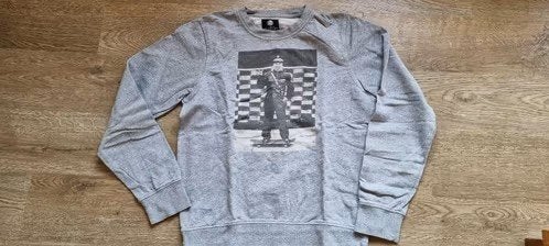 grijze trui Element - skate met tekening maat 176 - XS - S, Gebruikt, Trui of Vest, Ophalen of Verzenden, Jongen