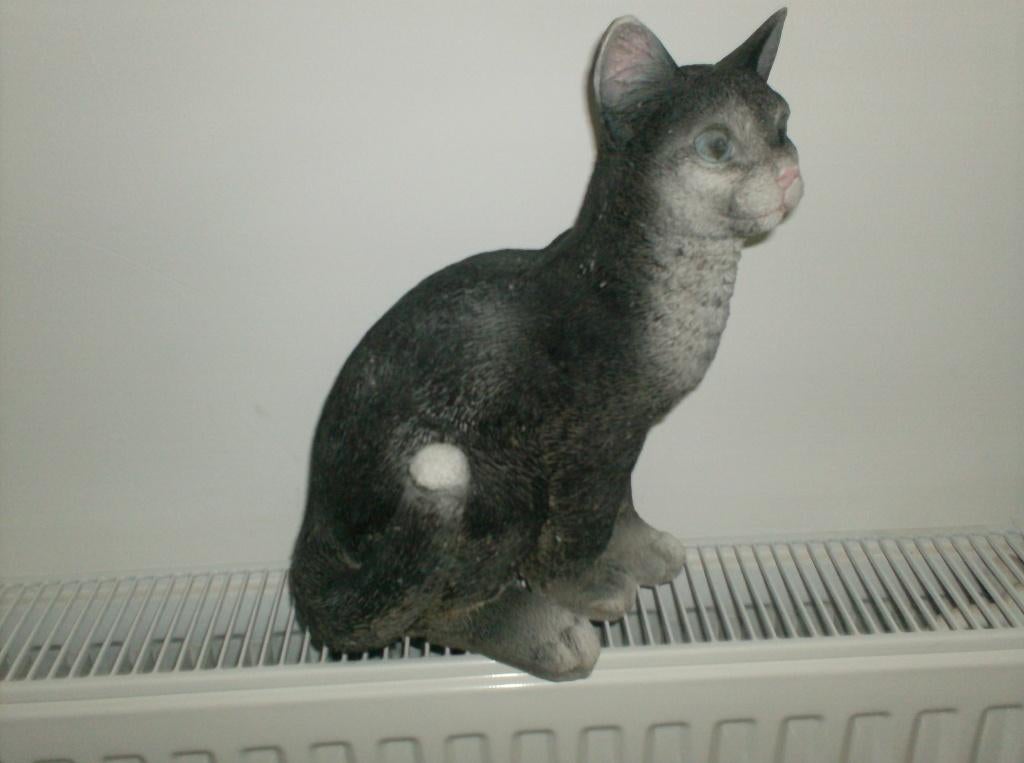 mooi beeld poes, Ophalen of Verzenden