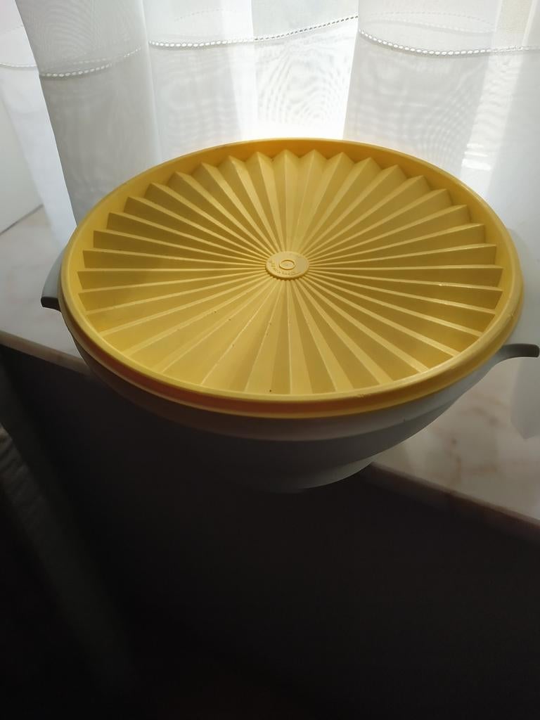 Grote kom van tupperware met zonnedeksel, Huis en Inrichting, Keuken | Tupperware, Ophalen