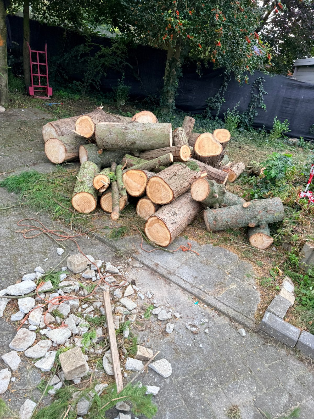 Hout te koop. Ongeveer 2,5 kuub, Enlèvement, Troncs d'arbres