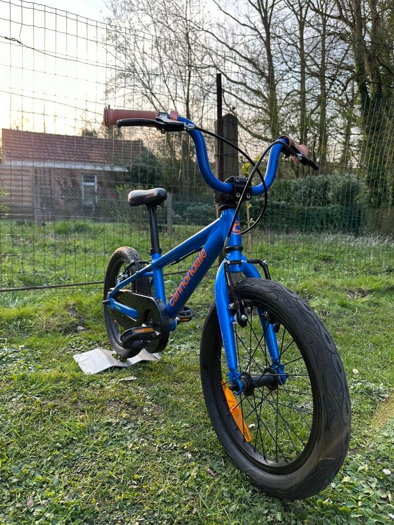 Cannondale Trail 16” enfant bmx vélo, Enlèvement, Comme neuf, 16 à 20 pouces, Stabilisateurs