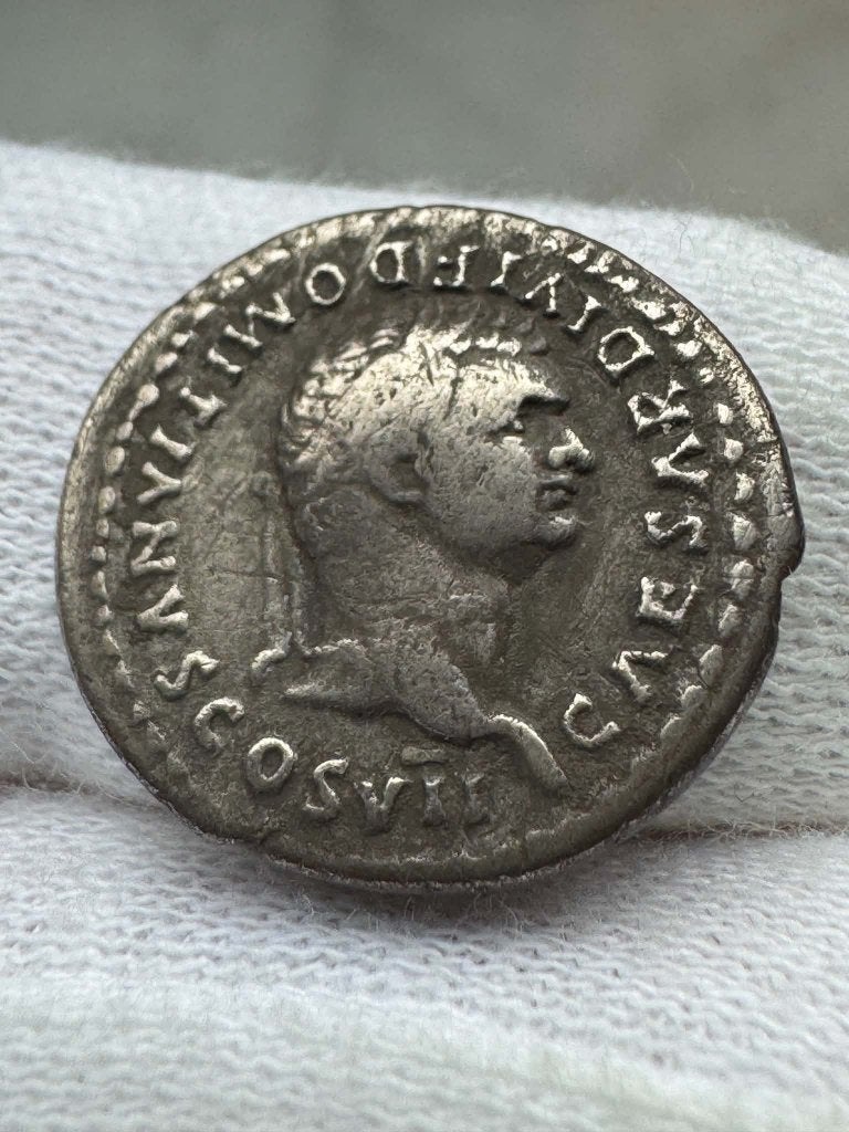 Romeinse rijk - Domitianus (Denarius, 80-81 AD), Postzegels en Munten, Ophalen of Verzenden, Overige landen, Losse munt, Zilver
