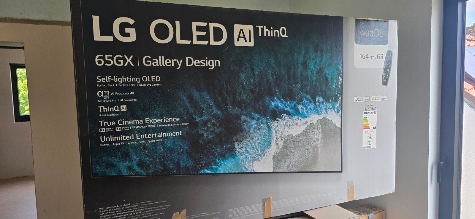 TV OLED LG 65 pouces, Enlèvement