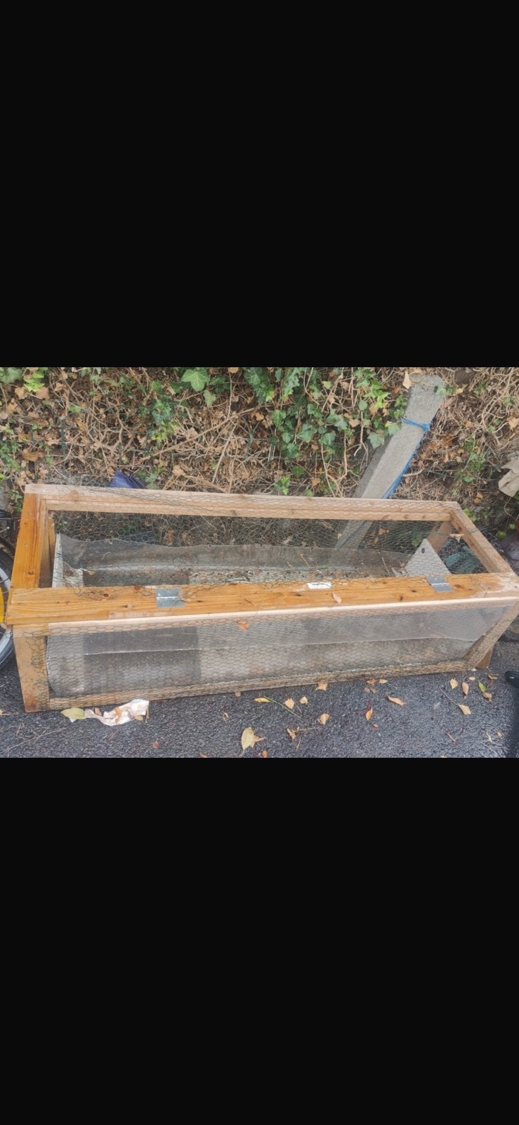Caviahok voor binnen of buiten GRATIS, Ophalen, Gebruikt