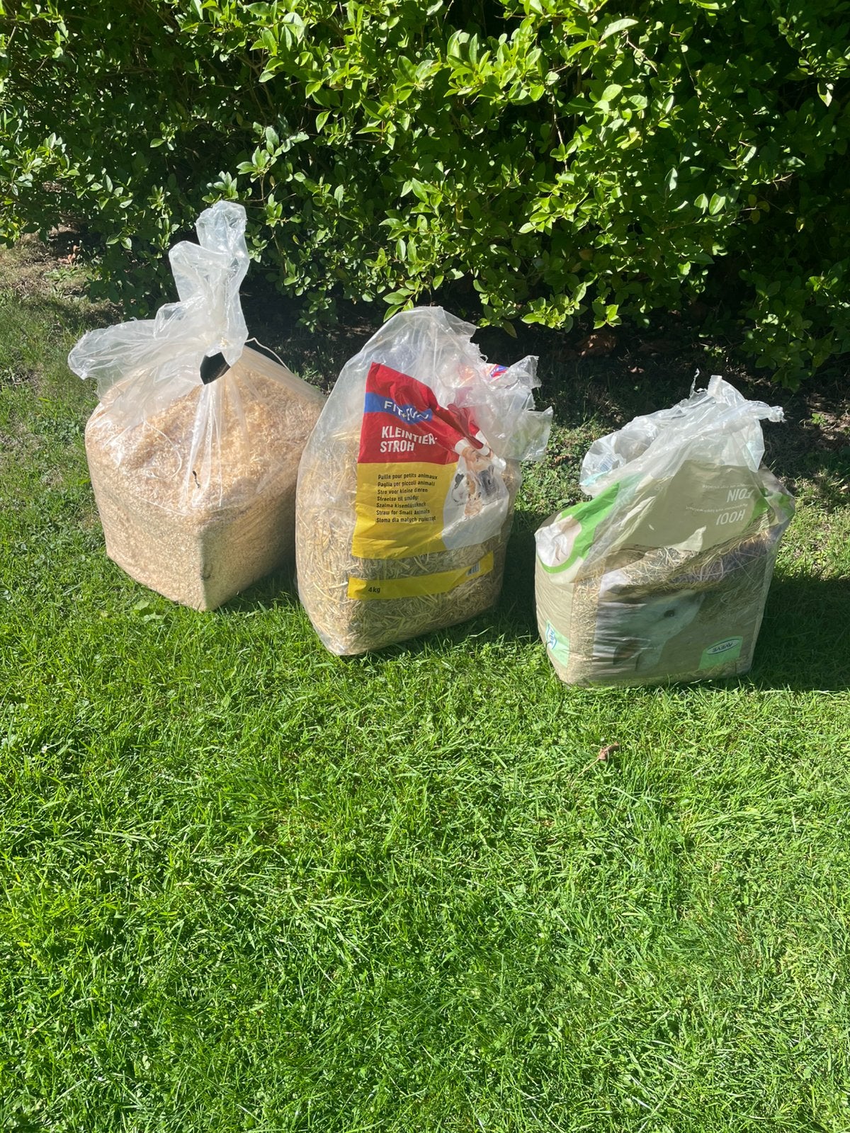 Gratis hooi stro zaagsel, Dieren en Toebehoren, Ophalen