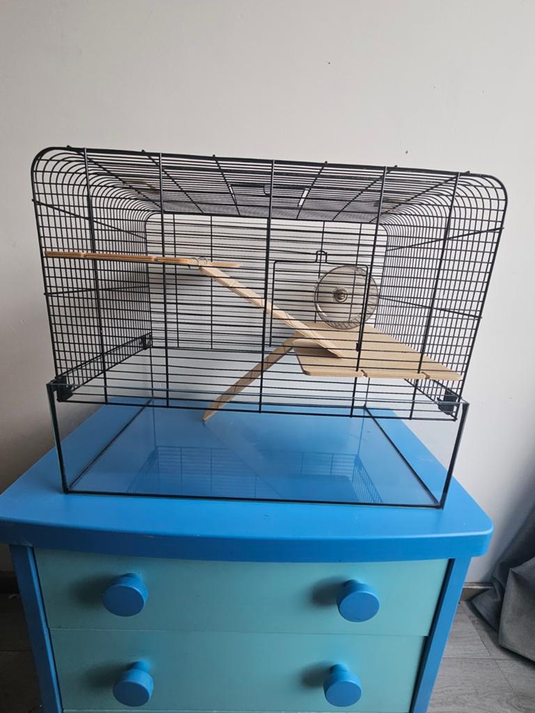 Knaagdieren kooi, Souris, Moins de 60 cm, Cage, Comme neuf