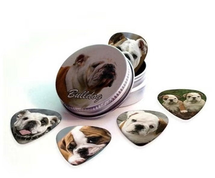 Blikje + plectrums met afbeelding van een Bulldog hond, Ophalen of Verzenden, Nieuw