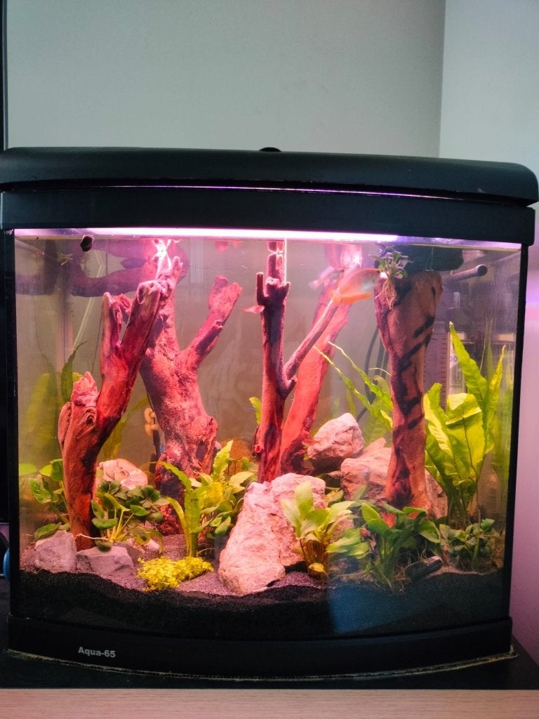 Aquarium 65l - complete set, Ophalen, Verwarming, Zo goed als nieuw, Leeg aquarium