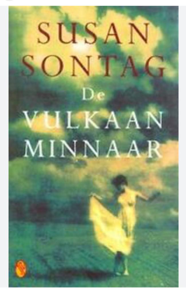 Susan Sontag - De vulkaanminnaar, Boeken, Ophalen, Susan Sontag