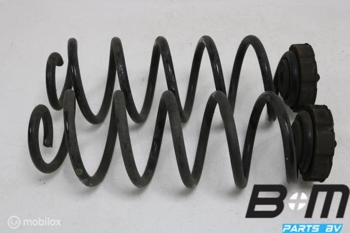 Set achterveren Audi A5 8T 8K0511115GT, Gebruikt