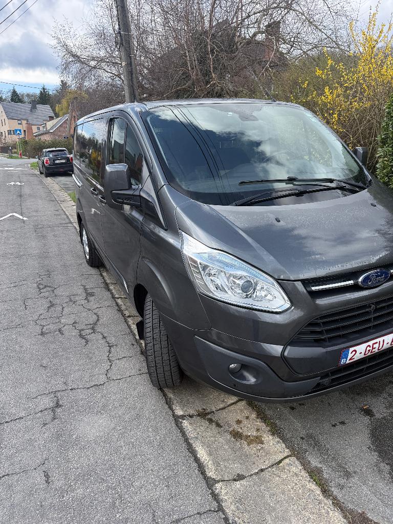 Ford Transit Custom, Autos, Camionnettes & Utilitaires, Particulier, Ford, Diesel, Boîte manuelle