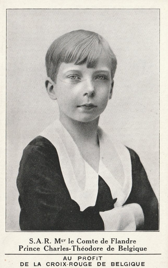 BELGISCH  KONINGSHUIS - Prins Charles-Théodore, Verzamelen, Postkaarten | Themakaarten, Ophalen of Verzenden, Ongelopen, Overige thema's