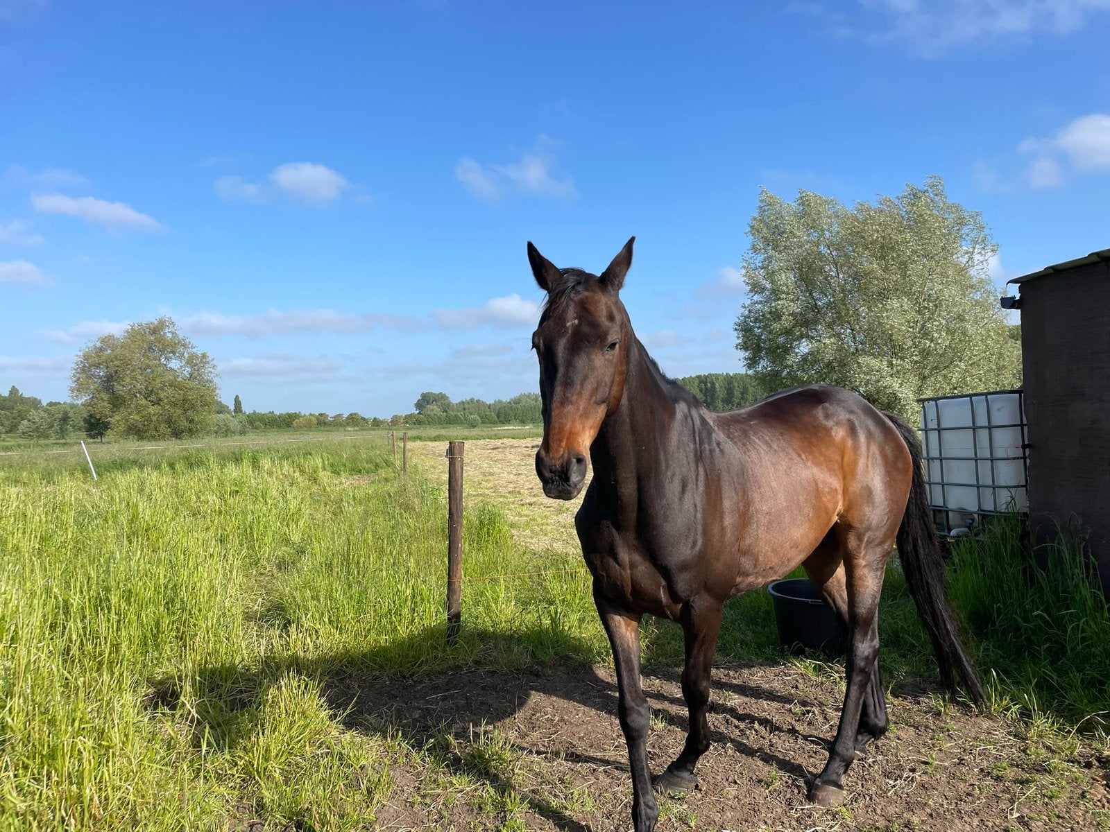 Whisper (22j, ruin) zoekt 5 sterren thuis, Ruin