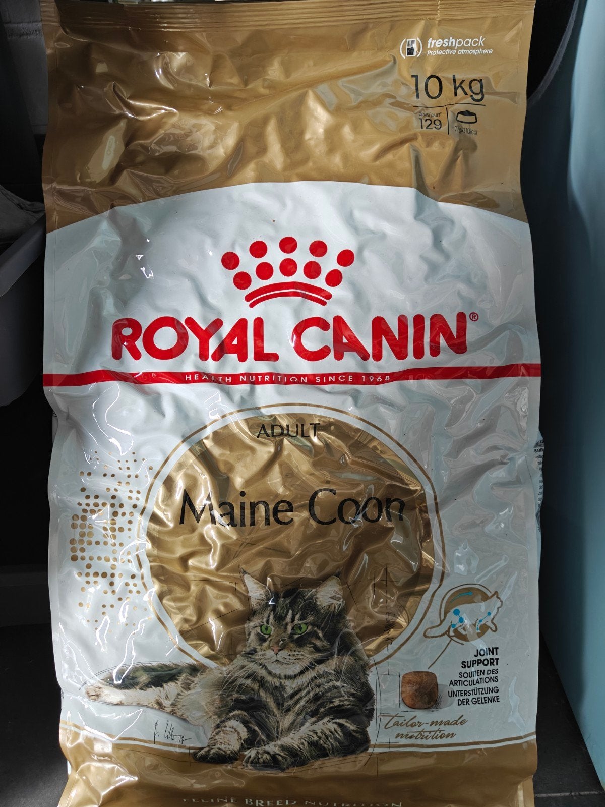 Royal Canin Maine Coon adult brokjes, Animaux & Accessoires, Enlèvement
