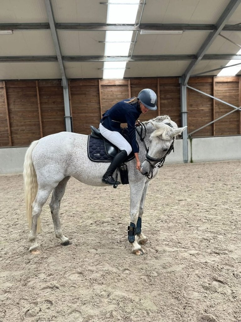 Recreatiemerrie, Dieren en Toebehoren, Merrie, Met stamboom, 170 tot 175 cm, L