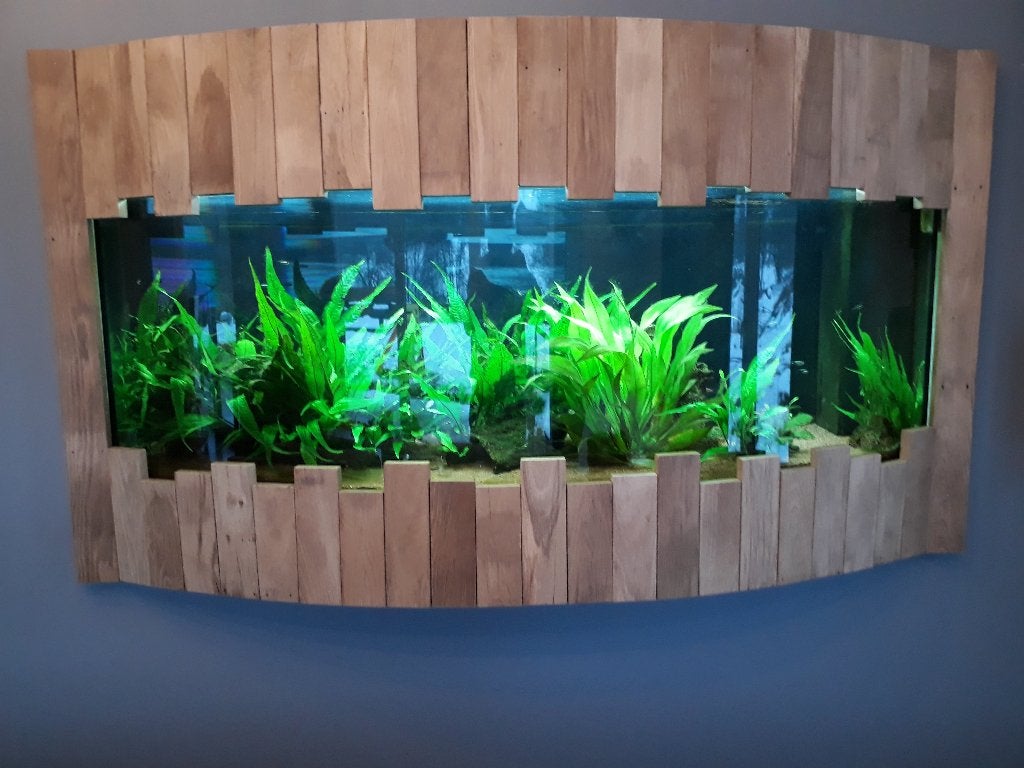 Aquarium Juwel vision 450, Animaux & Accessoires, Enlèvement, Utilisé, Aquarium vide, Juwel